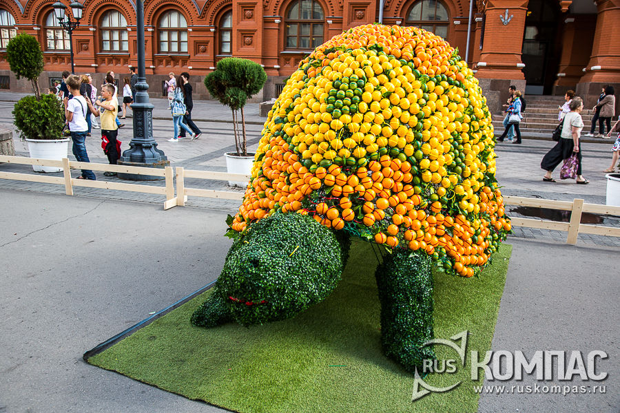 ��������� ����������