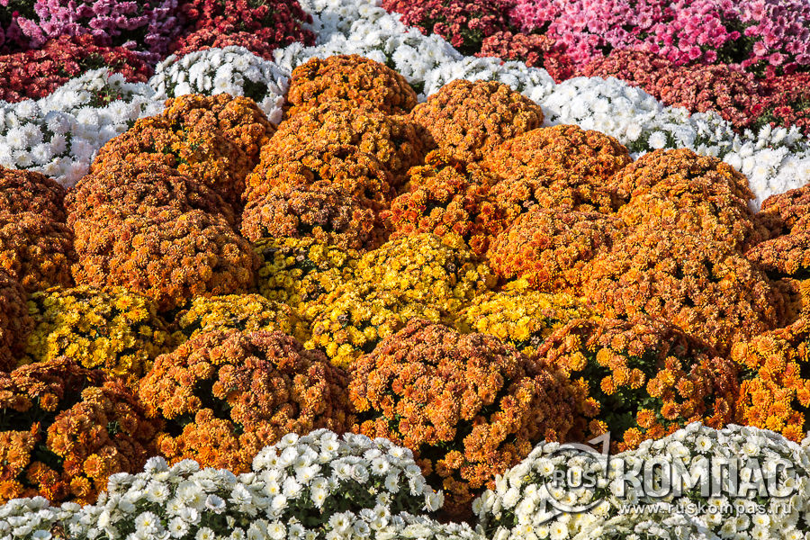 ���������� �� ���������