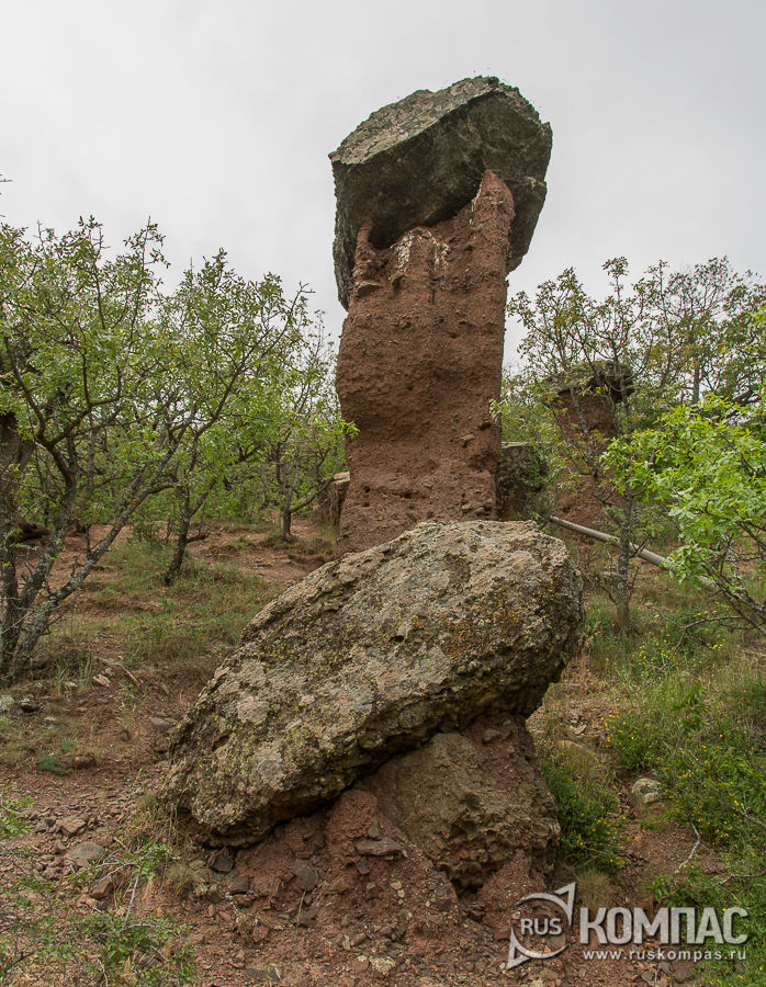 ����� ������� �� ������������� � ������� �������� �������� �����