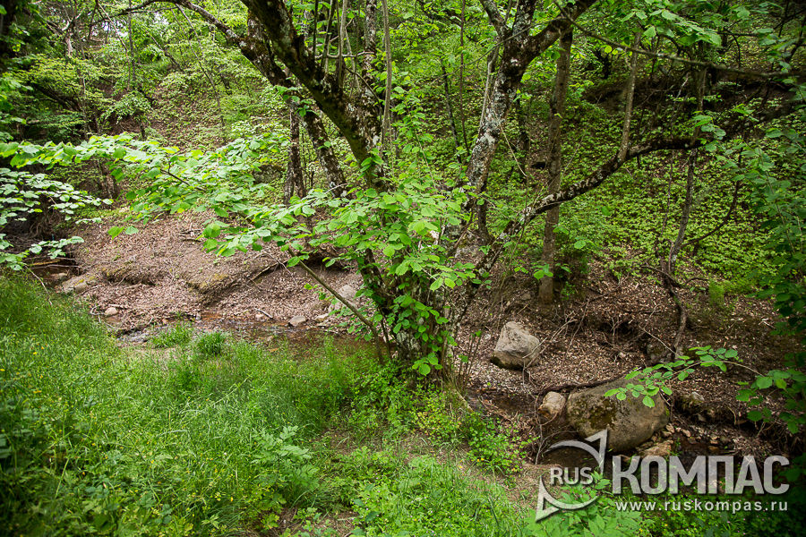 ����� �����