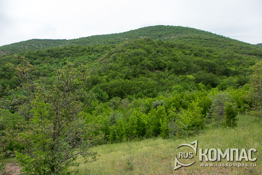 ����� ������ � �����