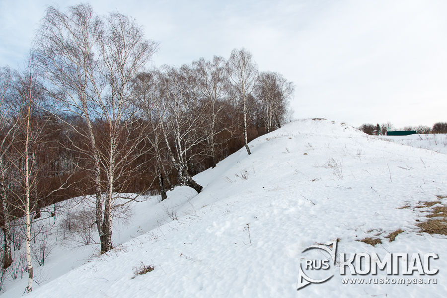 ����� ����