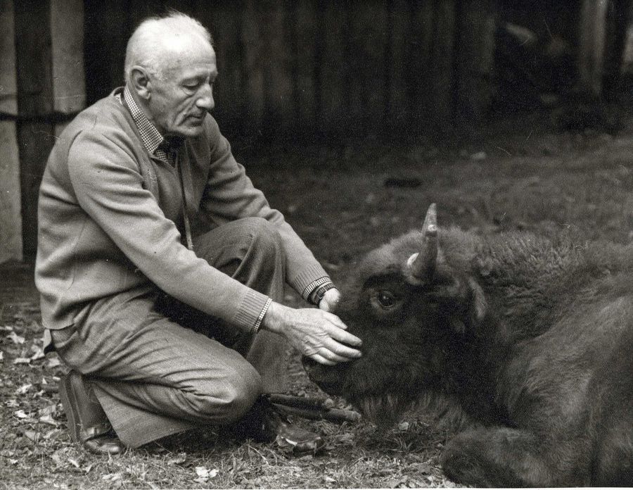      (  pt-zapovednik.ru)