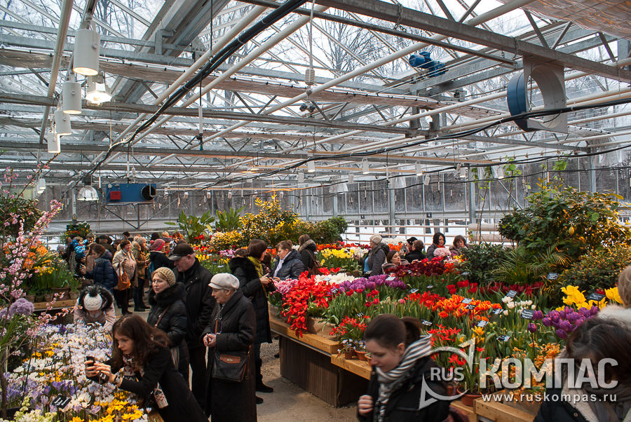 �������� "��������� �����"