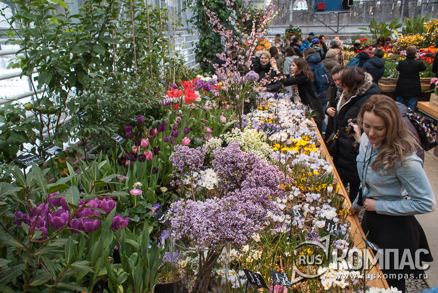 ������� �� �������� �����������, ���������, ������ � �����