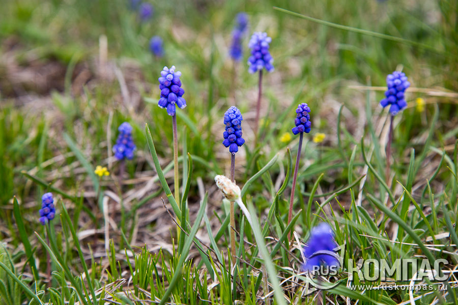 �������� ������� � ����� ���������