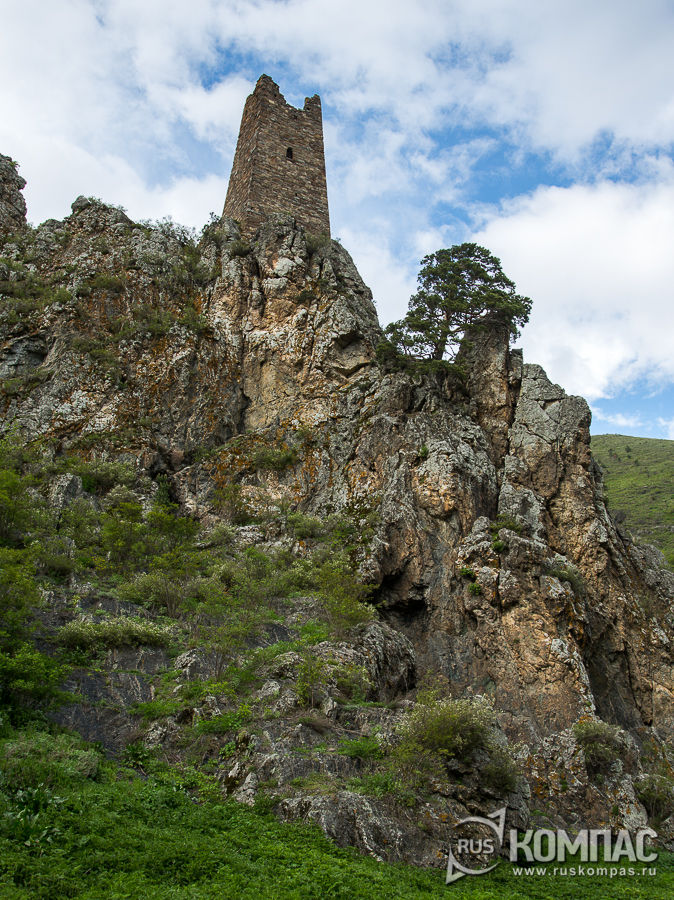 ������ ����� ��������