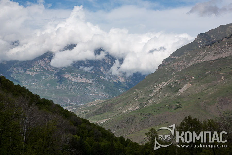 ������� ������������ ������