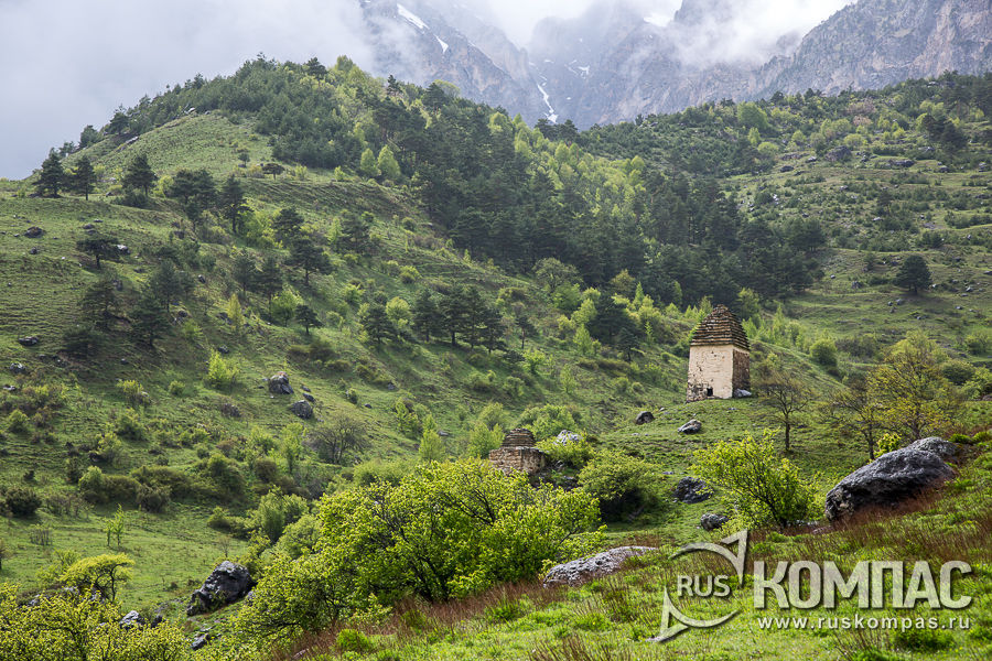 ����������� �� ����� � ����������� ������� ������