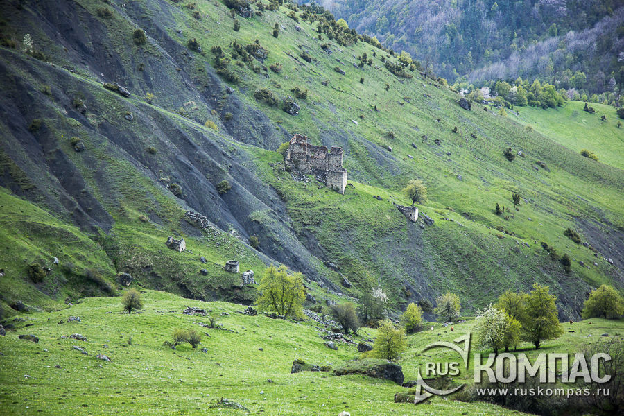 ����� � ����������� ������� ���������