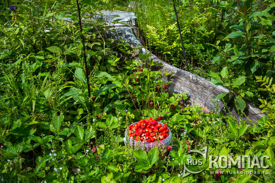 ������� � ���������� �� ������