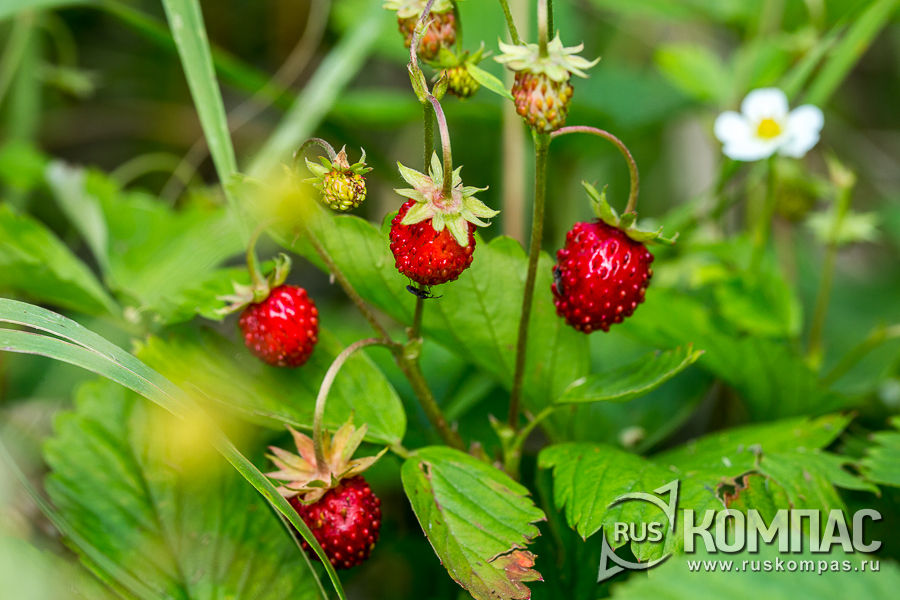 �� ����� ����� ��������� ������ ����� � �����