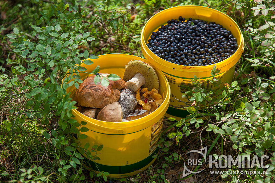 ��� � ���� ����� �� ������ ��������