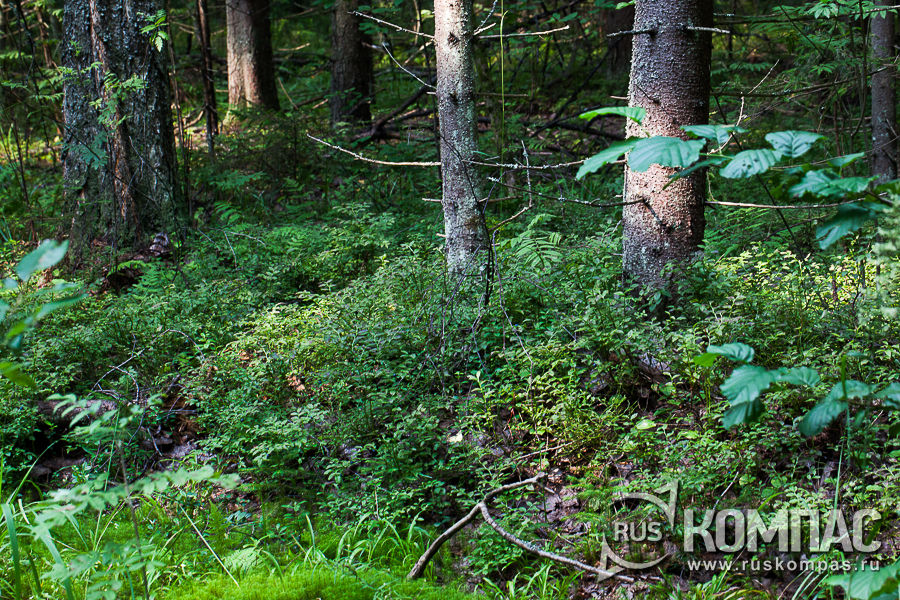 ��������� �� ����� ������ ���������