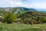 Цветущий склон Демерджи весной