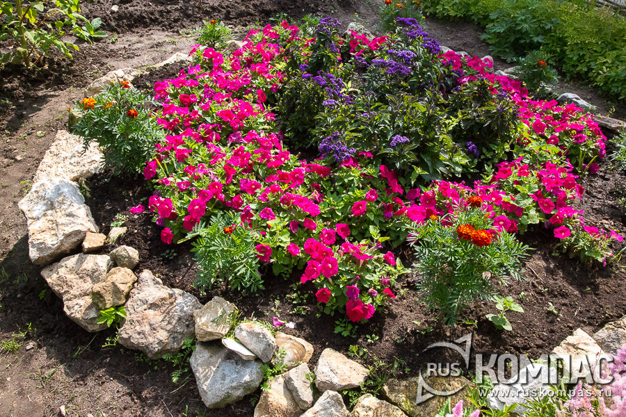 ��� � ��������