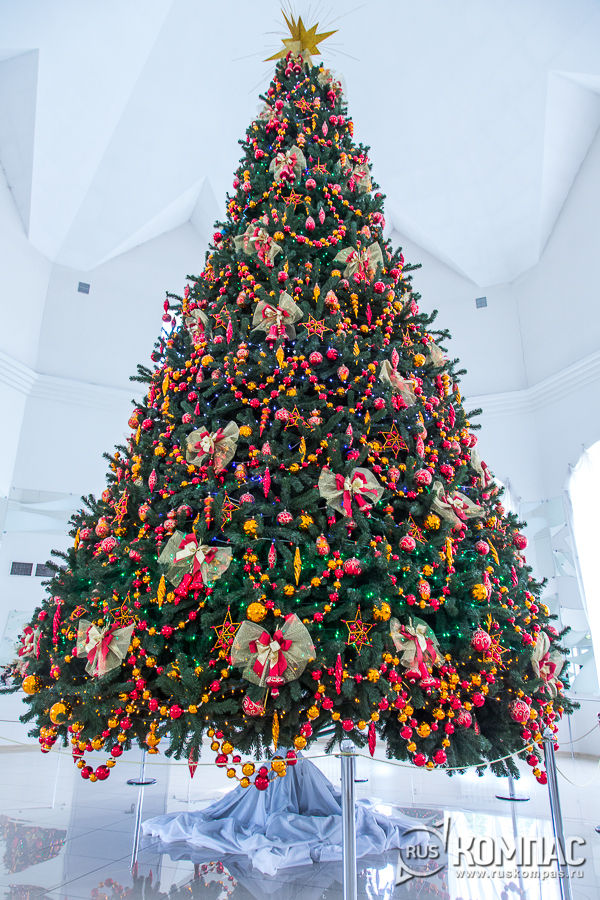 ���������� ���� � ������� ���� ����� �������� ��������