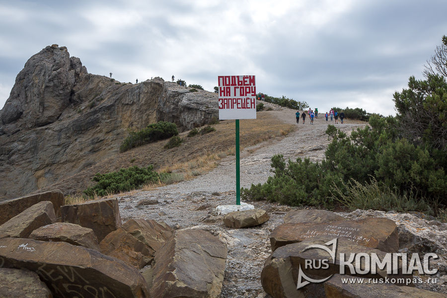 ����� � ���� �����