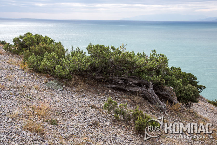 ���������� ������������ �� ������ ���� ������