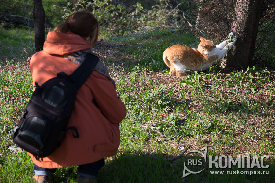 ����-��������