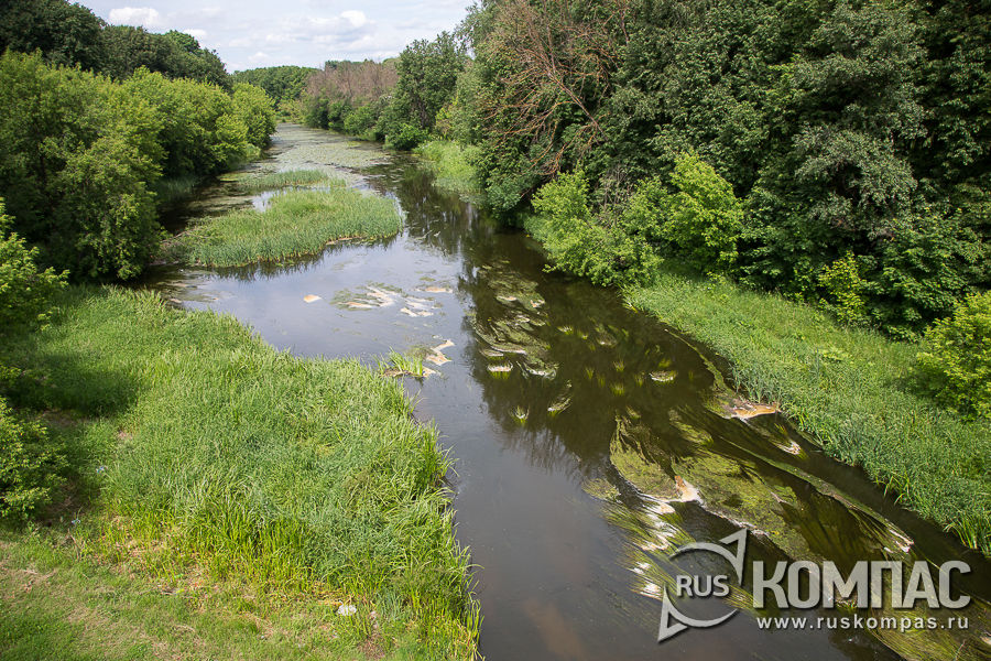 ���� ������