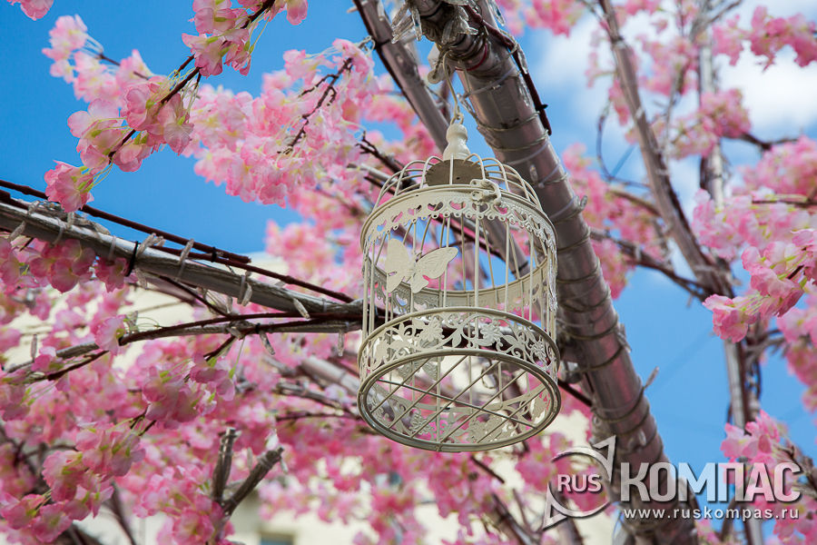 �� ������� �������� ����� ������ � ���������