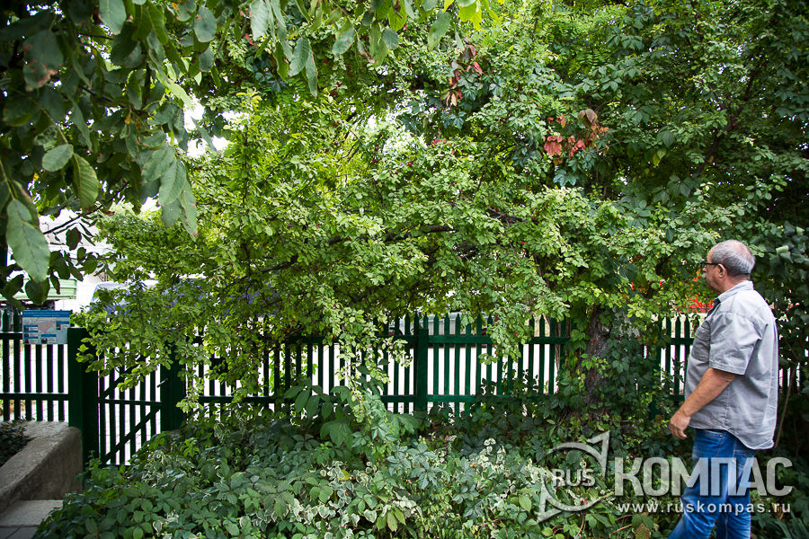 ����� �� ����� ����-����� �����