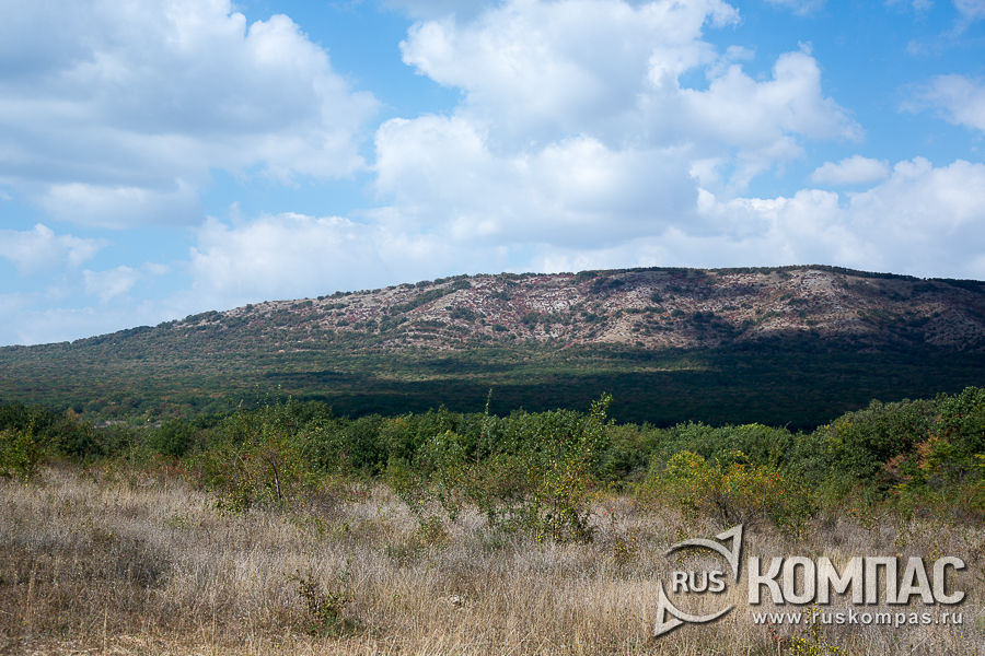 ���� �������