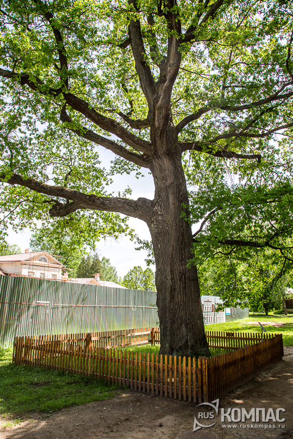 ������������� ��� - ��������� ��������� ������� ���������