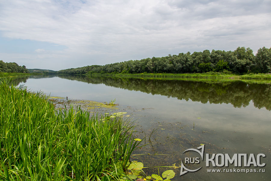 ���� ���