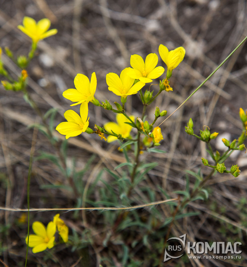 ˸� �����