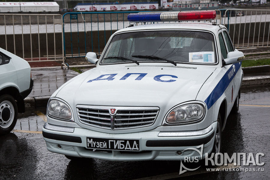 �����������  ��� 31