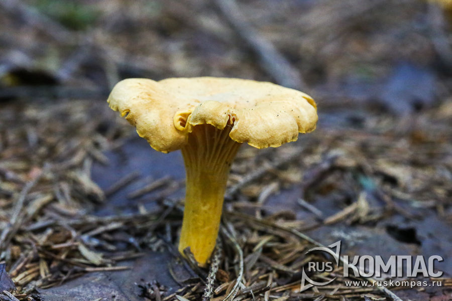 ���� ������ ������� ����� ���������� � ����������� �� ����� ������������� 