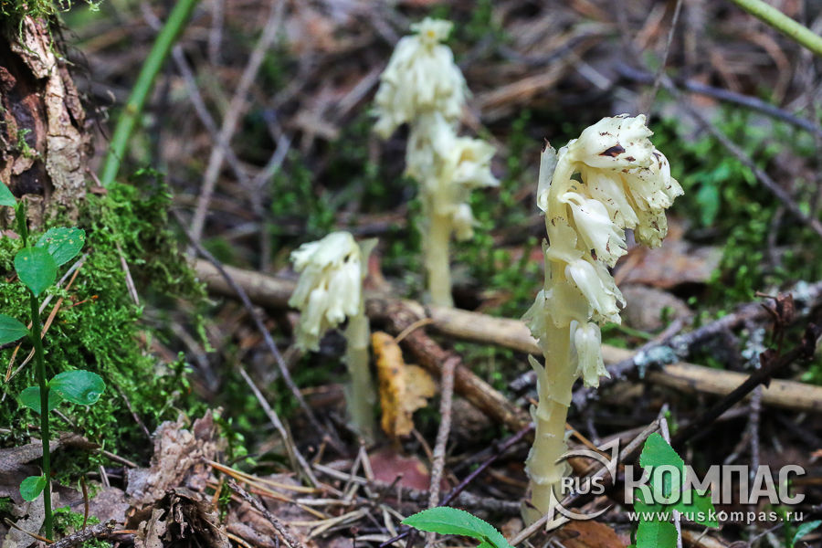 ��������� �� ��������� ��������