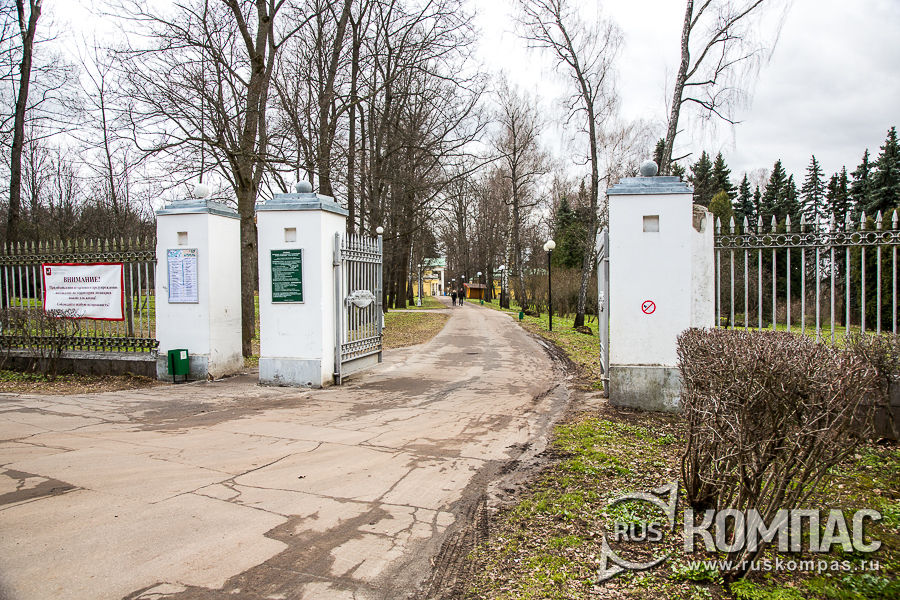 ������� ������ � ���� ������� ����� 