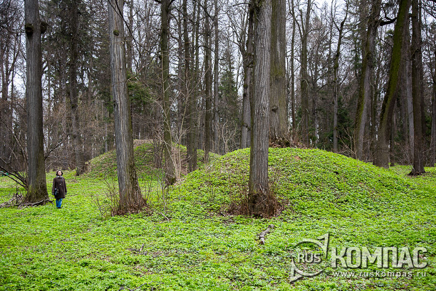 � ���� � �������� ���� ������� ����������� 50 �������� �������