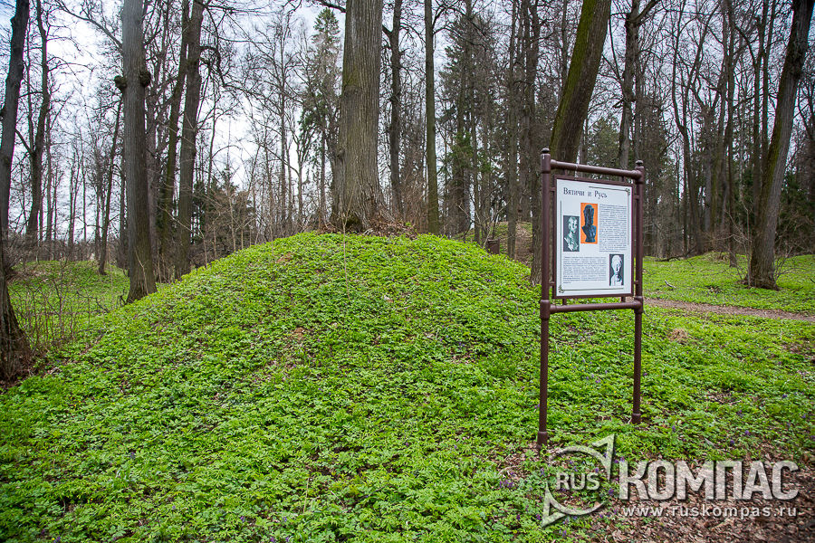 ���� �� �������� �������