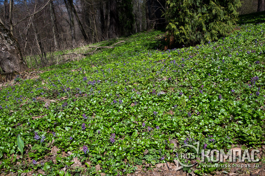 �������� �������� � ����� �������