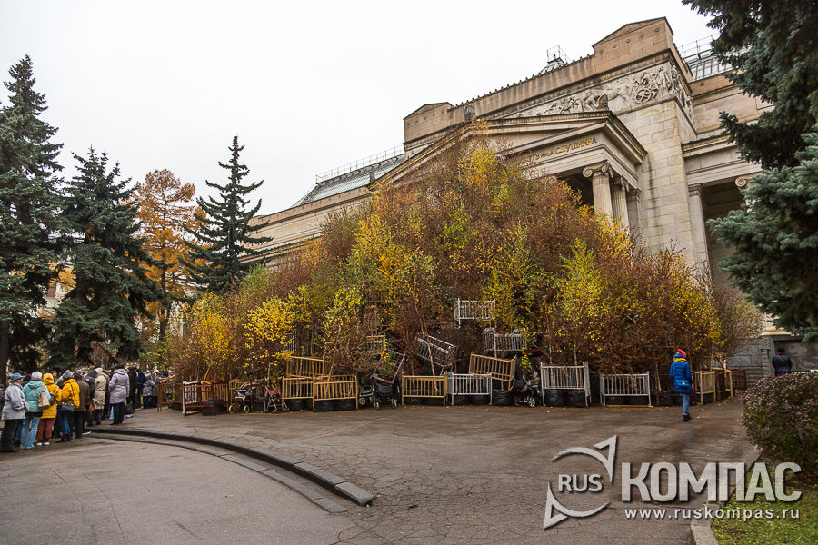 ����������� ��� ������ ������� � ������ � ����� � ������� ������ ����������� �����