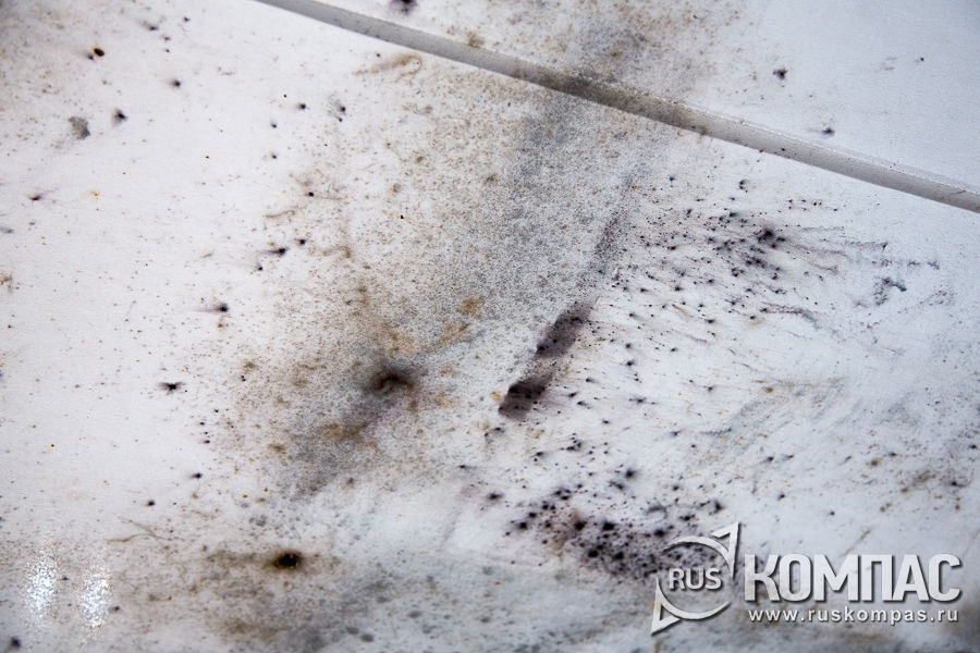 ����� ������ �� ����� (���������� �����)