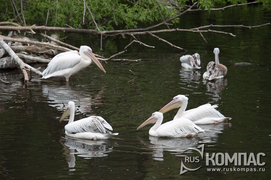 ���� � ����������