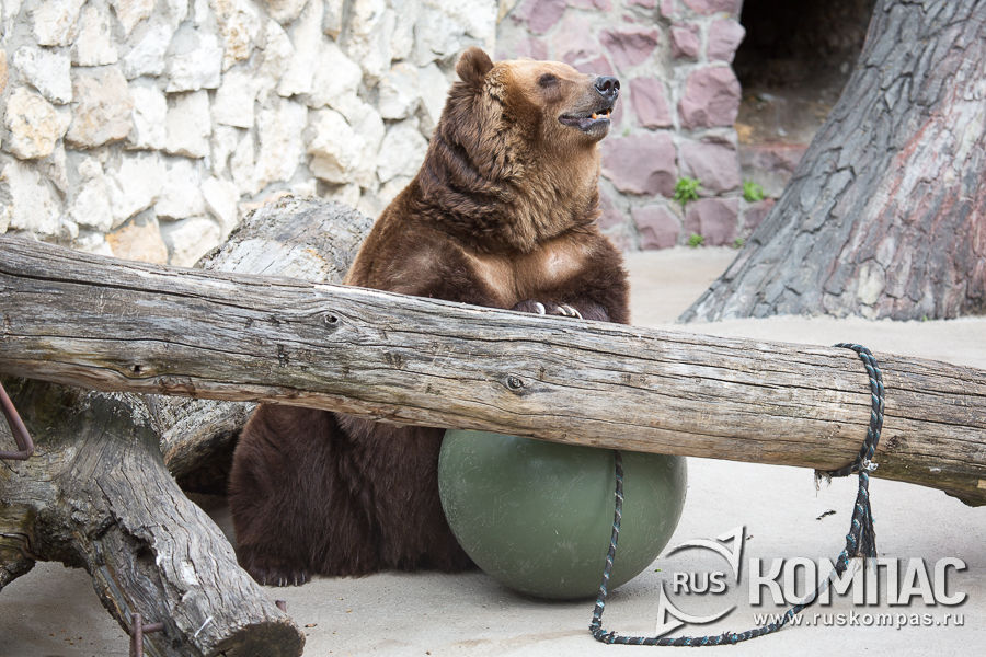 ����� ������� �� ������