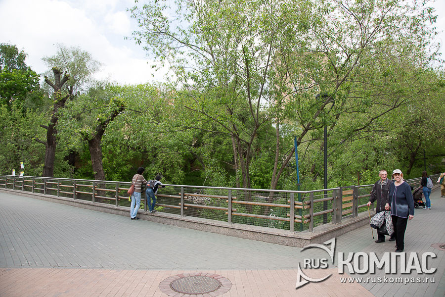 � ����� � ����������