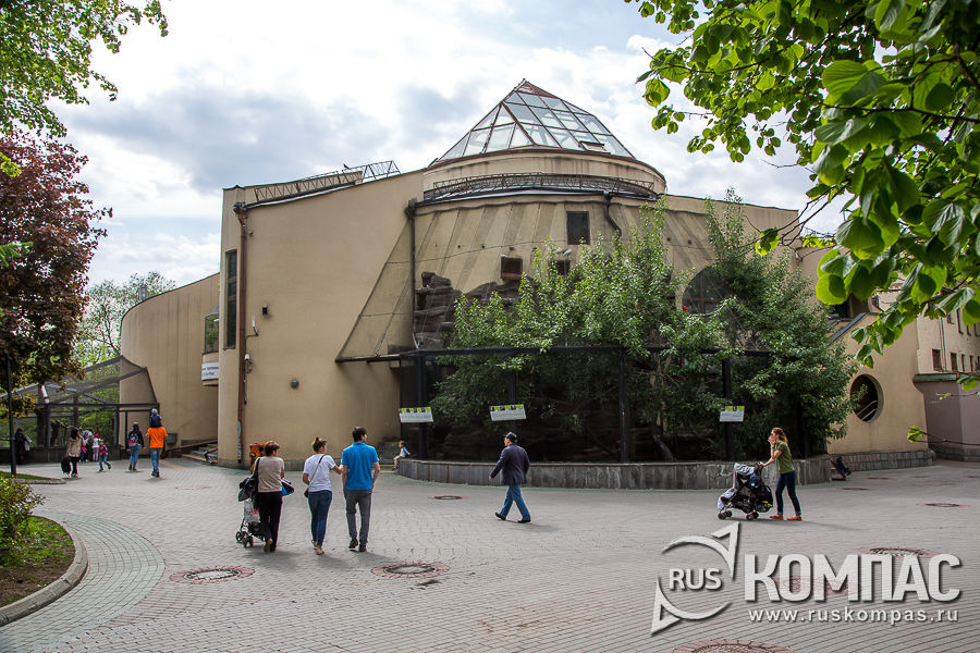 ������� � �������