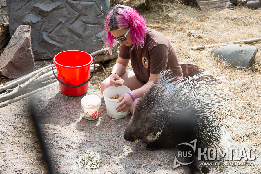 �������� ��������� ������� �� ����������... 