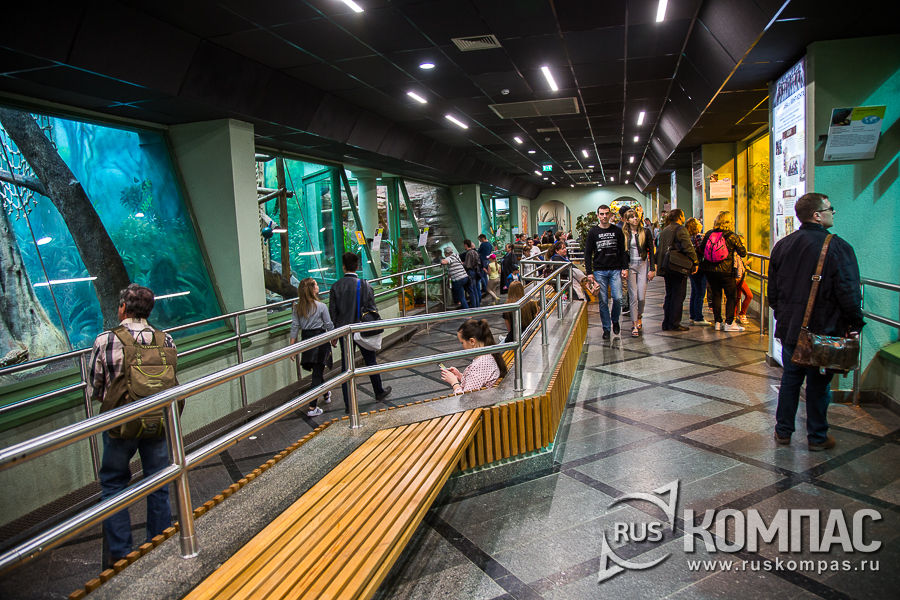 � ������� ����� �������� �����������