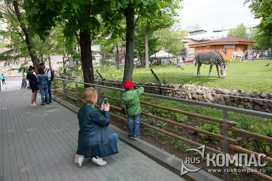 � ������� � ������� � ��������