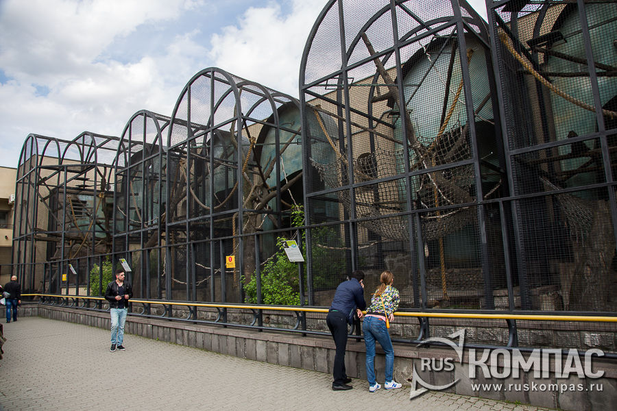 �������� ������� ������� ��� �������