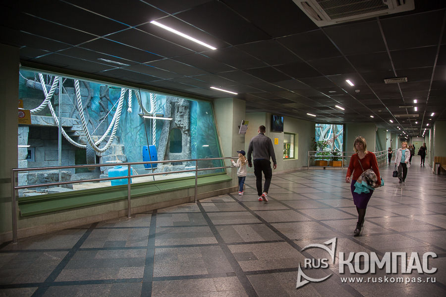 ������ ��������� ��������