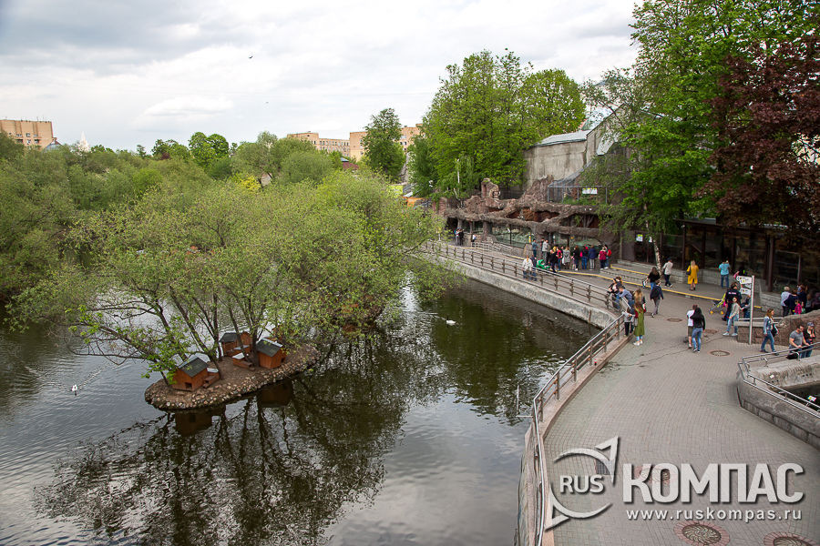 ����� ����������� ����